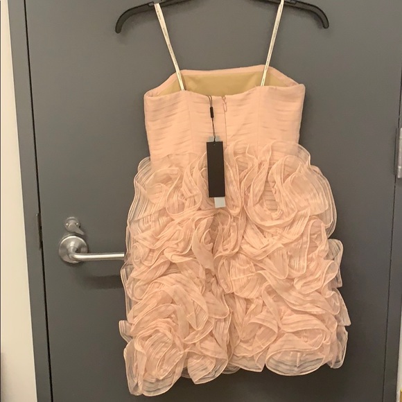 Halston Heritage Ruffle Dress - Picture 4 of 6